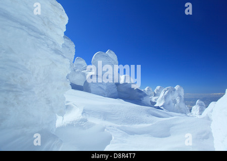 Neve in Zao, prefettura di Yamagata Foto Stock