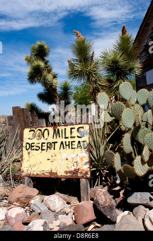 Hackberry General Store sul percorso 66 in Arizona, Stati Uniti d'America Foto Stock