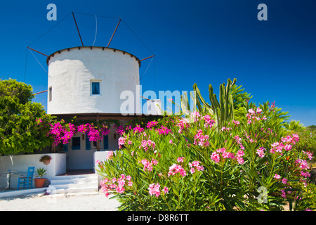 Un mulino a vento storico sull isola di Kos, in Grecia, in Europa Foto Stock