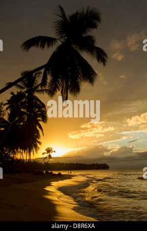 Tramonto a Punta il papavero beach, Repubblica Dominicana. Foto Stock