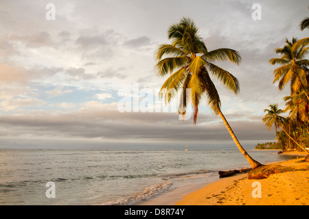 Tramonto a Punta il papavero beach, Repubblica Dominicana. Foto Stock