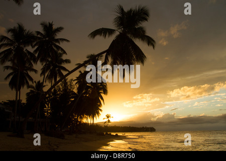 Tramonto a Punta il papavero beach, Repubblica Dominicana. Foto Stock