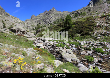 La valle del Gordolasque nelle Alpi Marittime nel Parco nazionale del Mercantour, Francia Foto Stock