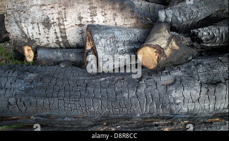 legno bruciato Foto Stock