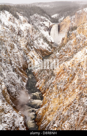 Il fiume Yellowstone cade sopra le Cascate Inferiori nel Grand Canyon di Yellowstone nel sud del Parco Nazionale di Yellowstone. Foto Stock