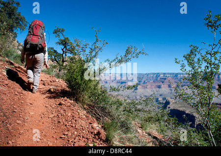 Escursionismo nel Grand Canyon Foto Stock