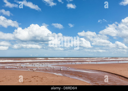 Un piccolo ruscello in esecuzione attraverso la sabbia all'Oceano su un Prince Edward Island Beach. Foto Stock