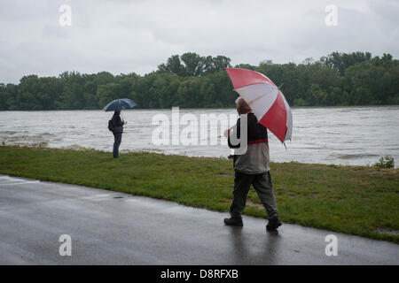 Devin, Slovacchia. Il 3 giugno 2013. Pedoni osservare la situazione sul fiume Danubio il 3 giugno 2013 in Devin Credito: Lubos Paukeje/Alamy Live News Foto Stock