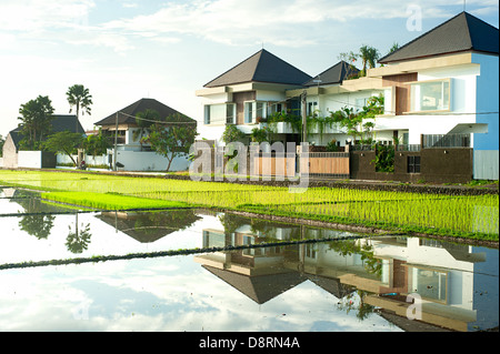 Cottages riflettendo in campo di riso al tramonto sull'isola di Bali, Indonesia Foto Stock