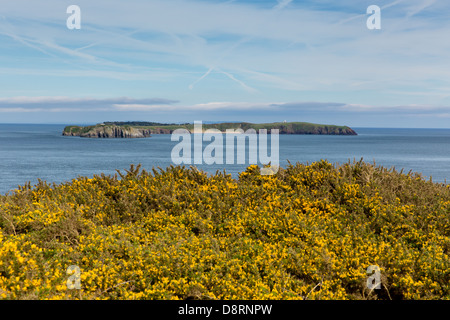 Isola di Caldey. Da Lydstep Pembrokeshire Wales. Vicino a Tenby e Manorbier. Foto Stock