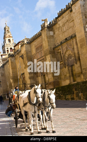 Cavallo e Carrozza in attesa per i turisti alla Mezquita Moschea cattedrale di Cordoba Andalusia Andalusia Spagna Europa Foto Stock