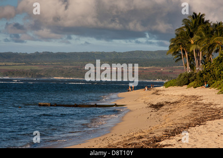 Le persone che si godono la scenografica Blue Ocean su un bellissimo tratto di spiaggia vicino Haleiwa, Oahu, Hawaii, STATI UNITI D'AMERICA Foto Stock