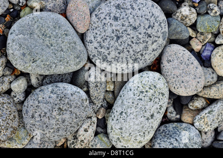 Spiaggia di pietre su Burnaby Isola Haida Gwaii Queen Charlotte Islands Gwaii Haanas National Park della Columbia britannica in Canada Foto Stock