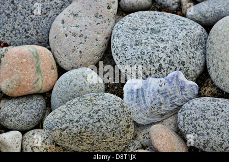 Spiaggia di pietre su Burnaby Isola Haida Gwaii Queen Charlotte Islands Gwaii Haanas National Park della Columbia britannica in Canada Foto Stock