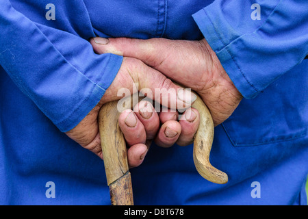 Sporco e callused mani di un pastore tenendo un truffatore, vicino a Kilmarnock, Ayrshire, in Scozia, Regno Unito Foto Stock