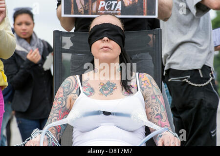 Berlino, Germania. Il 4 giugno 2013. Organizzazione "Peta' DAL REGNO UNITO dimostrano nella porta di Brandeburgo che il latte uccide, dicono con i fatti che il latte dopo la gioventù provoca il cancro e osteoporosi. Credito: Credito: Gonçalo Silva/Alamy Live News. Foto Stock