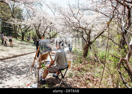 Toronto;;Ontario Canada;High Park un parco pubblico a Toronto in primavera in giapponese ciliegi (Sakura) in piena fioritura Foto Stock