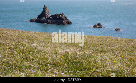 Chiesa Rock vicino ampia oasi beach, vicino Bosherton, Pembrokeshire, Galles Foto Stock