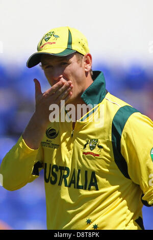 CARDIFF, GALLES - 04 Giugno: Australia George Bailey durante l'ICC Champions Trophy pre torneo warm up international cricket match tra India e Australia a Cardiff Galles Stadio su Giugno 04, 2013 a Cardiff, nel Galles. (Foto di Mitchell Gunn/ESPA) Foto Stock