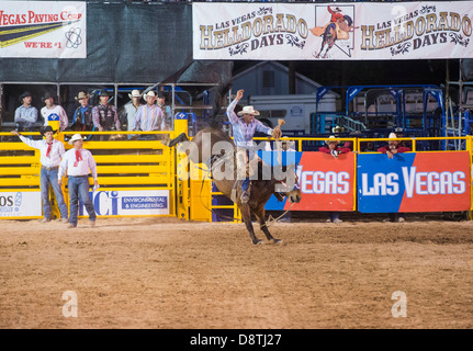 Cowboy partecipante in un cavallo di contraccolpi della concorrenza a Helldorado giorni rodeo professionale in Las Vegas Foto Stock