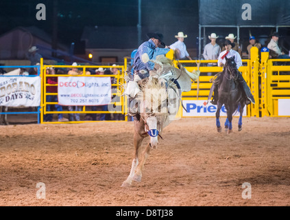 Cowboy partecipante in un cavallo di contraccolpi della concorrenza a Helldorado giorni rodeo professionale in Las Vegas Foto Stock