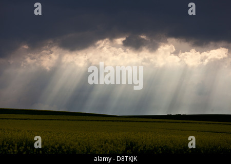 Sunray attraverso le nuvole Foto Stock