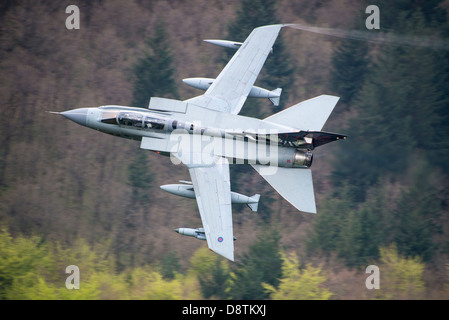 Un Tornado GR4 fighter bomber della RAF 617 Dam Buster Squadron vola sopra gli alberi nella parte superiore della valle del Derwent. Foto Stock