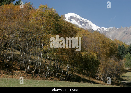 Mount Kazbek ricoperta di neve su una soleggiata giornata autunnale, Kazbegi, Georgia Foto Stock