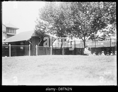 Vista dal parco giochi di lancia - Sydney Harbour Trust Kindergarten, mugnai punto attraverso Hickson Road a Huddart Parker Wharf numero 3 Darling Harbour Foto Stock