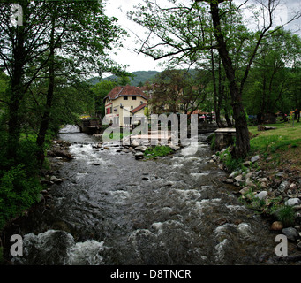 Due piccole insenature facendo un piccolo fiume di fronte a una casa di campagna circondata dal verde. Foto Stock