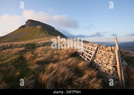 Pen-y-Ghent al tramonto Foto Stock