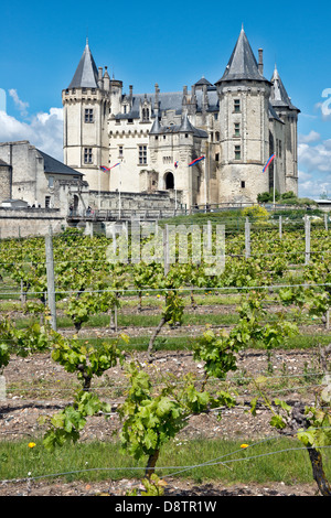 Vitigni di maturazione nella vigna di fronte allo storico Château de Saumur. Nella valle della Loira, Francia Foto Stock
