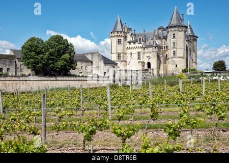 Vitigni di maturazione nella vigna di fronte allo storico Château de Saumur. Nella valle della Loira, Francia Foto Stock