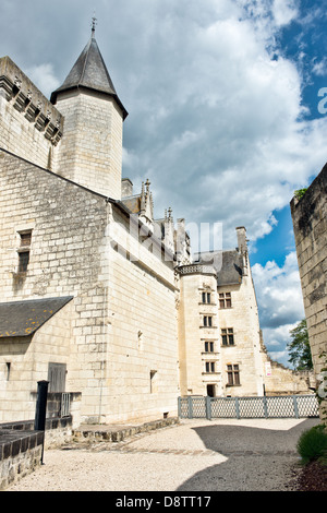 Château de Montsoreau Foto Stock