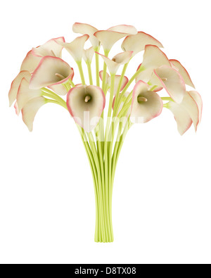 Bouquet di calla lilies isolato su bianco Foto Stock