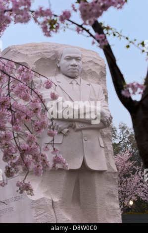 Il memoriale di Martin Luther King a Washington DC con fiori di ciliegio in primavera Foto Stock
