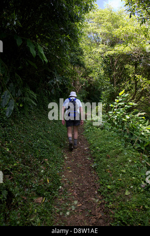 Escursioni turistiche São Jorge sentiero naturale di Fajã de João Dias - São Jorge island - Azzorre Foto Stock