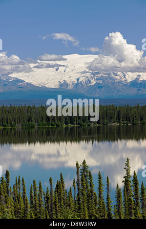 Vista del lago di salice, Wrangell Mountains e Wrangell Saint Elias National Park, Alaska, Stati Uniti d'America. Foto Stock