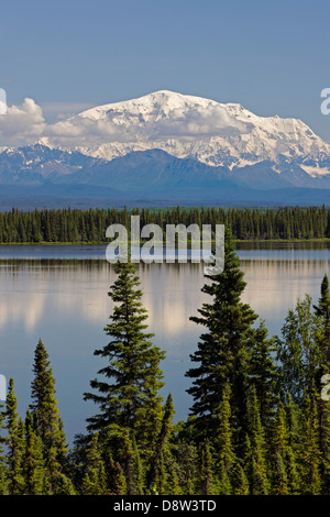 Vista del lago di salice, Wrangell Mountains e Wrangell Saint Elias National Park, Alaska, Stati Uniti d'America. Foto Stock