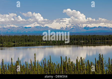 Vista del lago di salice, Wrangell Mountains e Wrangell Saint Elias National Park, Alaska, Stati Uniti d'America. Foto Stock