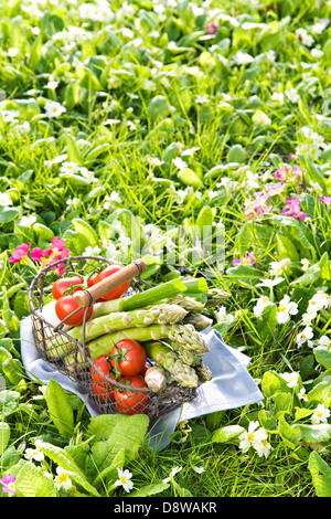 Cesto di asparagi verdi e pomodori in erba Foto Stock