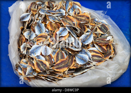 Pesci secchi su uno stallo al mercato a Luang Prabang, Laos Foto Stock