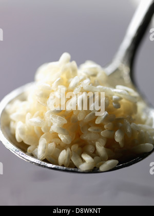 Riso Arborio per risotti Foto Stock