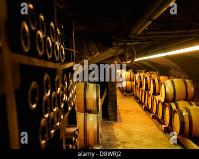 In legno barili di vino e bottiglie in una cantina Foto Stock