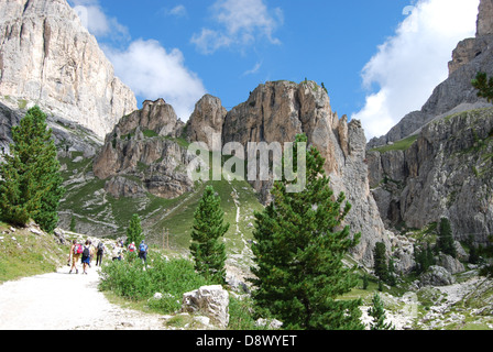 Le Dolomiti in Italia sono una splendida catena montuosa conosciuta per le loro vette spettacolari e i bellissimi paesaggi. Apprezzati per le escursioni a piedi e a piedi, offrono vari percorsi per gli amanti delle attività all'aria aperta, con prati alpini e terreni accidentati. Foto Stock