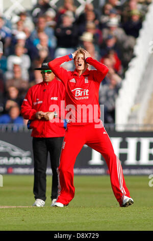 NOTTINGHAM, Inghilterra - Jun 05: Inghilterra è Joe Root durante il 3° Nat West una giornata internazionale della partita di cricket tra Inghilterra e Nuova Zelanda a Trent Bridge Cricket Ground giu 05, 2013 a Londra, Inghilterra, (foto di Mitchell Gunn/ESPA) Foto Stock