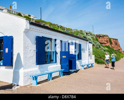 Budleigh Salterton, Regno Unito. 5 Giugno, 2013. Budleigh Salterton's Longboat Cafe oggetto di una controversia di pianificazione. Il Professor Mark Horton, BBC TV presentatore della costa, è "impegnato" Budleigh Salterton's Longboat cafe è di essere demolito. Egli ha detto di Admiralty longboat house è l'ultimo in Gran Bretagna. Credito: Lightworks Media/Alamy Live News Foto Stock