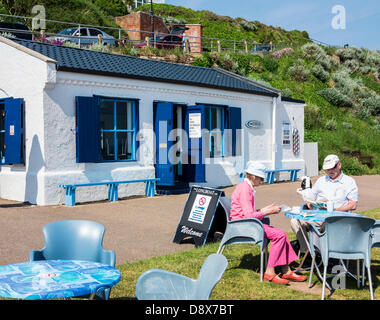 Budleigh Salterton, Regno Unito. 5 Giugno, 2013. Budleigh Salterton's Longboat Cafe oggetto di una controversia di pianificazione. Il Professor Mark Horton, BBC TV presentatore della costa, è "impegnato" Budleigh Salterton's Longboat cafe è di essere demolito. Egli ha detto di Admiralty longboat house è l'ultimo in Gran Bretagna. Credito: Lightworks Media/Alamy Live News Foto Stock