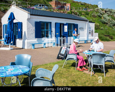 Budleigh Salterton, Regno Unito. 5 Giugno, 2013. Budleigh Salterton's Longboat Cafe oggetto di una controversia di pianificazione. Il Professor Mark Horton, BBC TV presentatore della costa, è "impegnato" Budleigh Salterton's Longboat cafe è di essere demolito. Egli ha detto di Admiralty longboat house è l'ultimo in Gran Bretagna. Credito: Lightworks Media/Alamy Live News Foto Stock