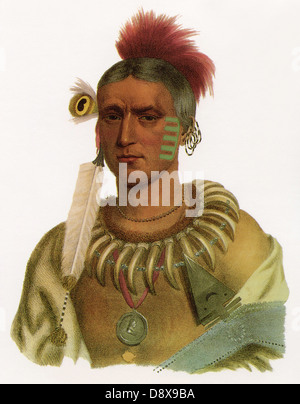 Ma-Has-Kah o nuvola bianca, Capo del Ioways, 1841 Foto Stock